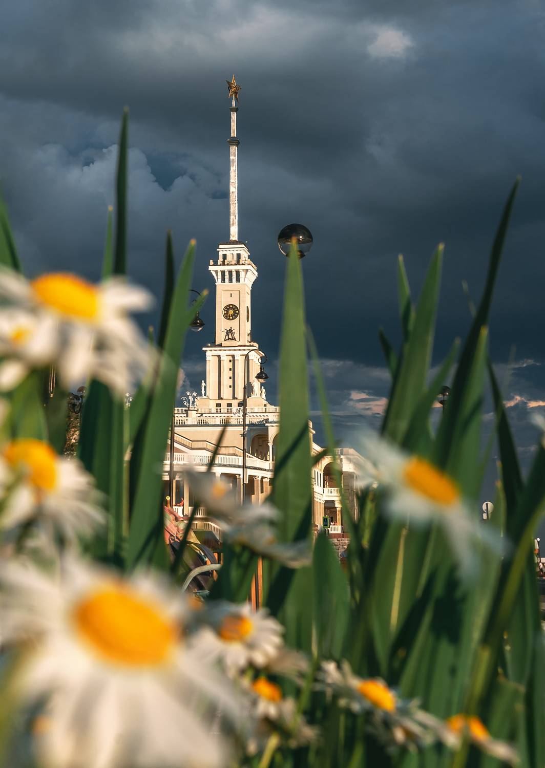 речной вокзал, ромашки, москва, Мазурева Анастасия