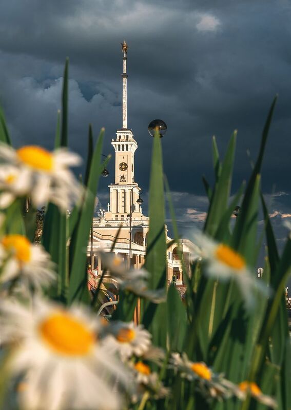 речной вокзал, ромашки, москва Речной вокзал фото превью