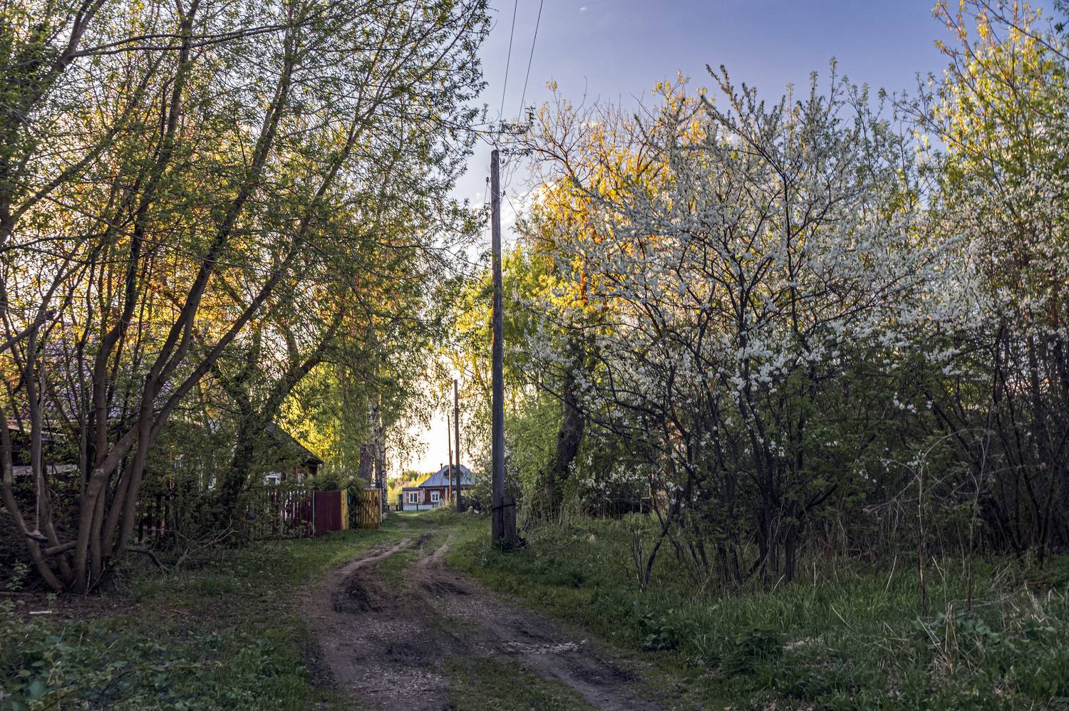 , Шитов Александр