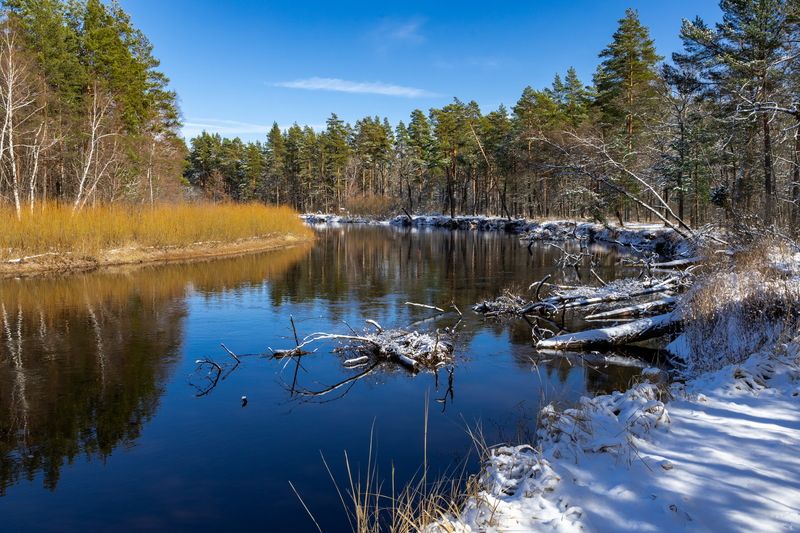 Последний снег фото превью