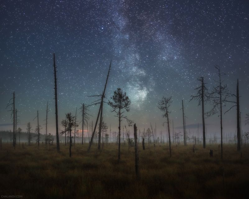 пейзаж, млечный путь, ночь, звезды, болото, туман Млечный путь и свет восходящей Луны фото превью