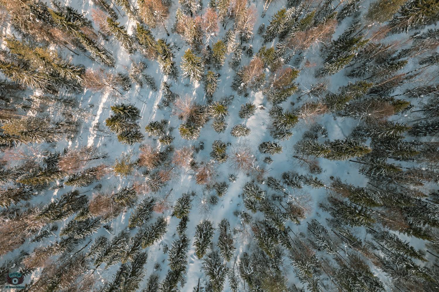 , Vladislav Trushkov