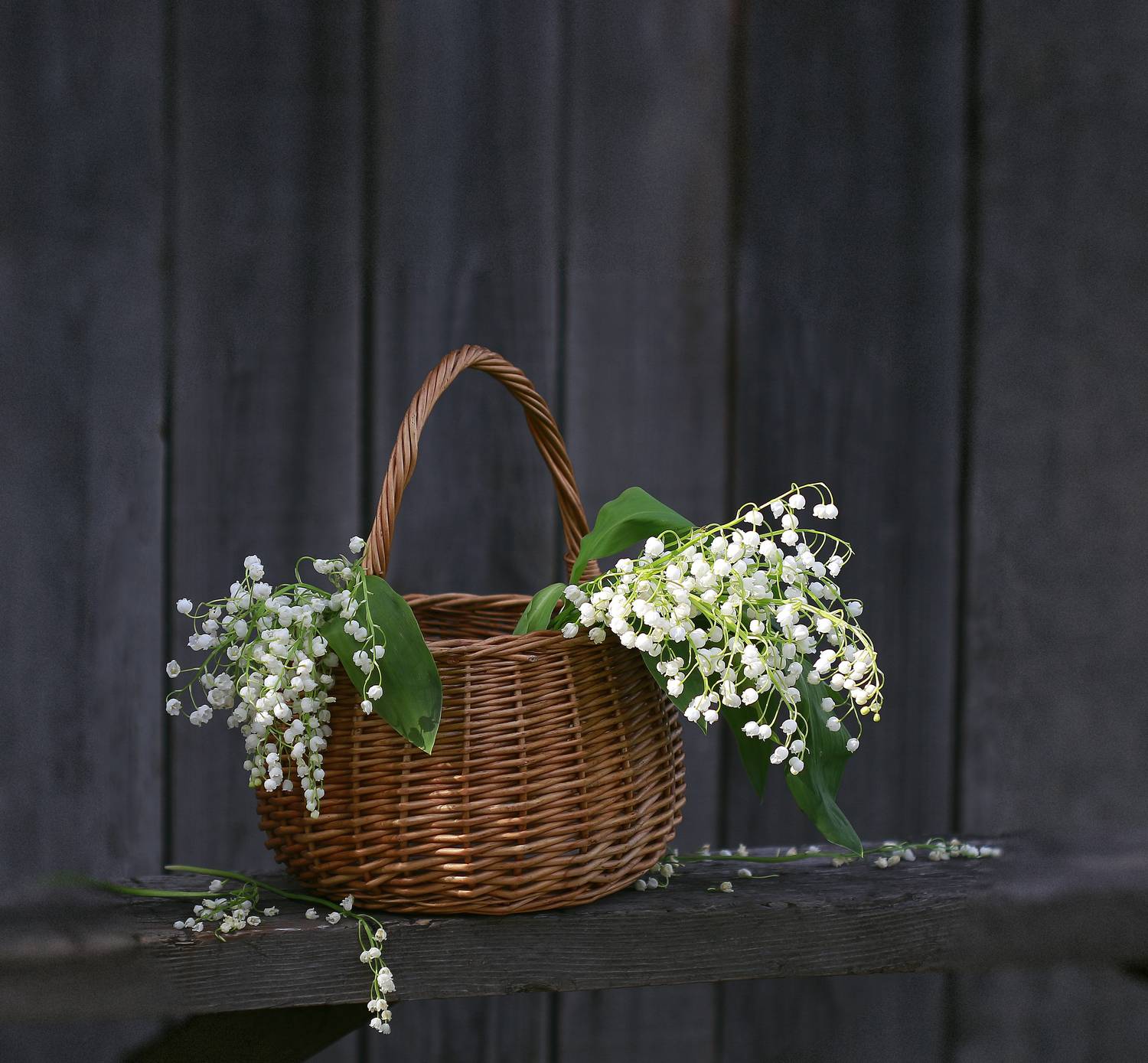 натюрморт, фотонатюрморт, still life, stillifefoto, весна, ландыши, цветы, наталья_казанцева, Наталья Казанцева