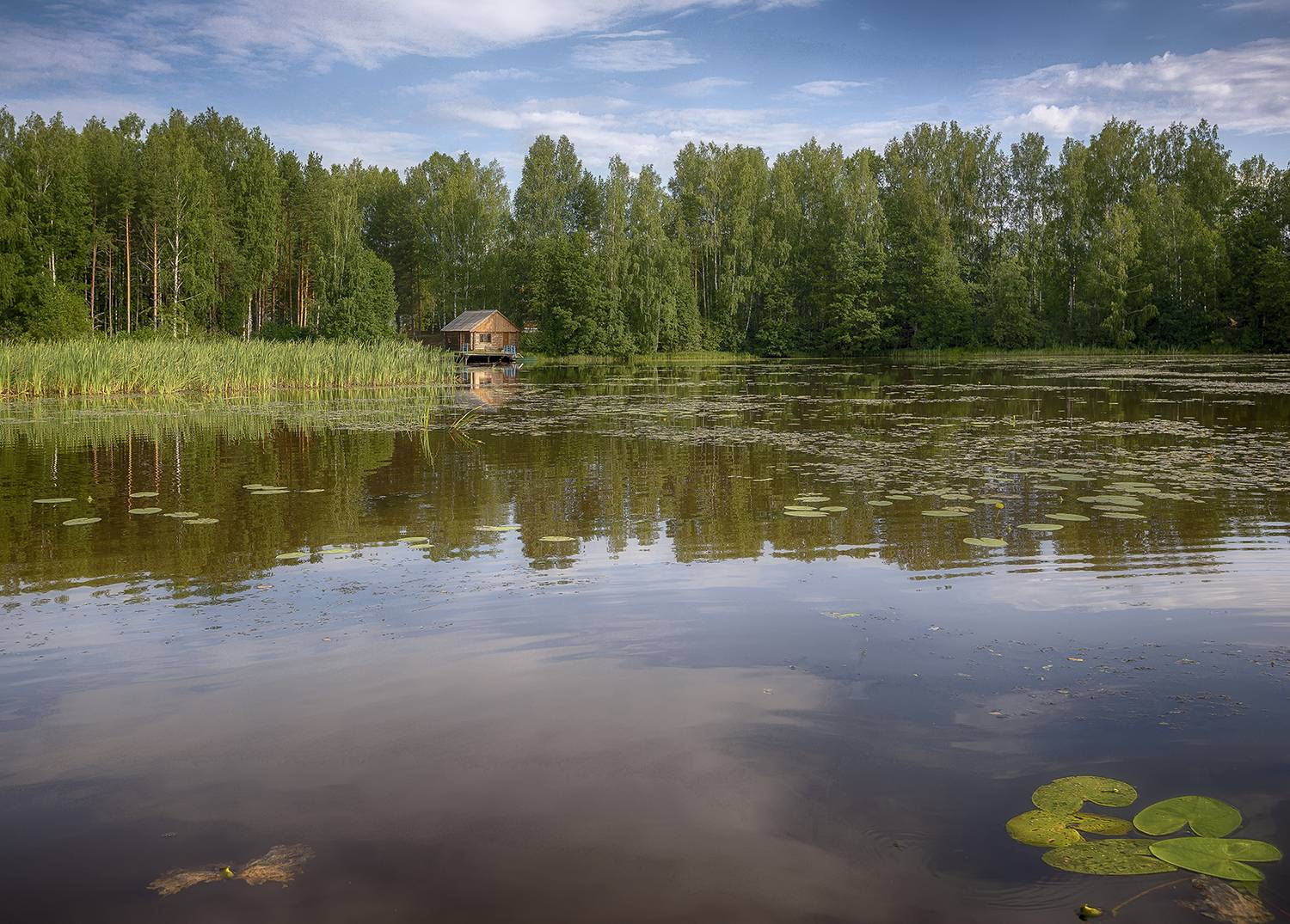 , Сергей Аникин