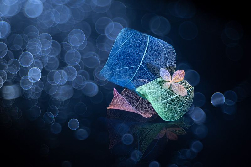 Meditative фото превью