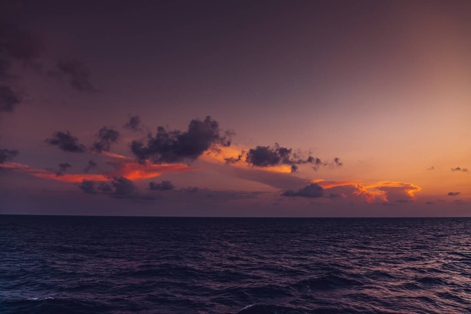 , Трепольский Дмитрий