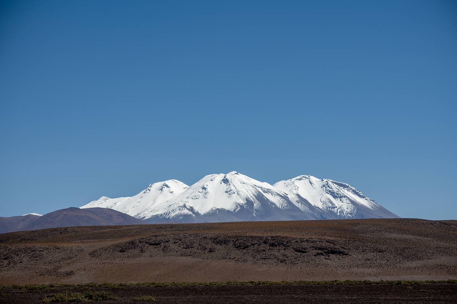 olla, Fernando Burgalin Sequeira