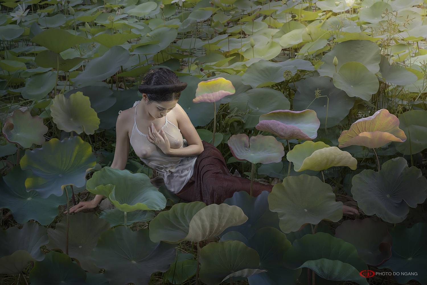 , L&ecirc; Hồng Tuấn