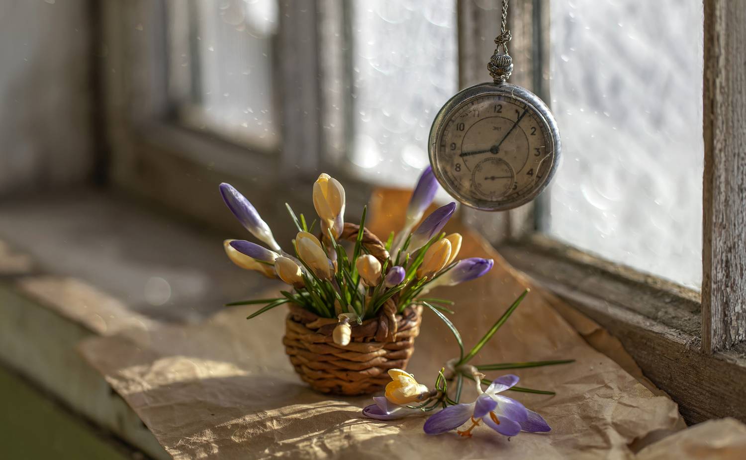 натюрморт, окно, крокусы, Татьяна Феденкова