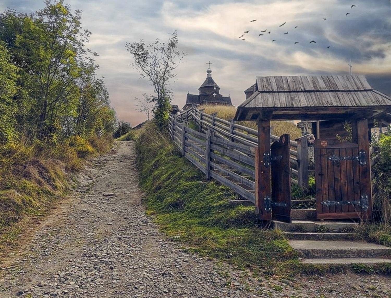 , Савоцкий Роман