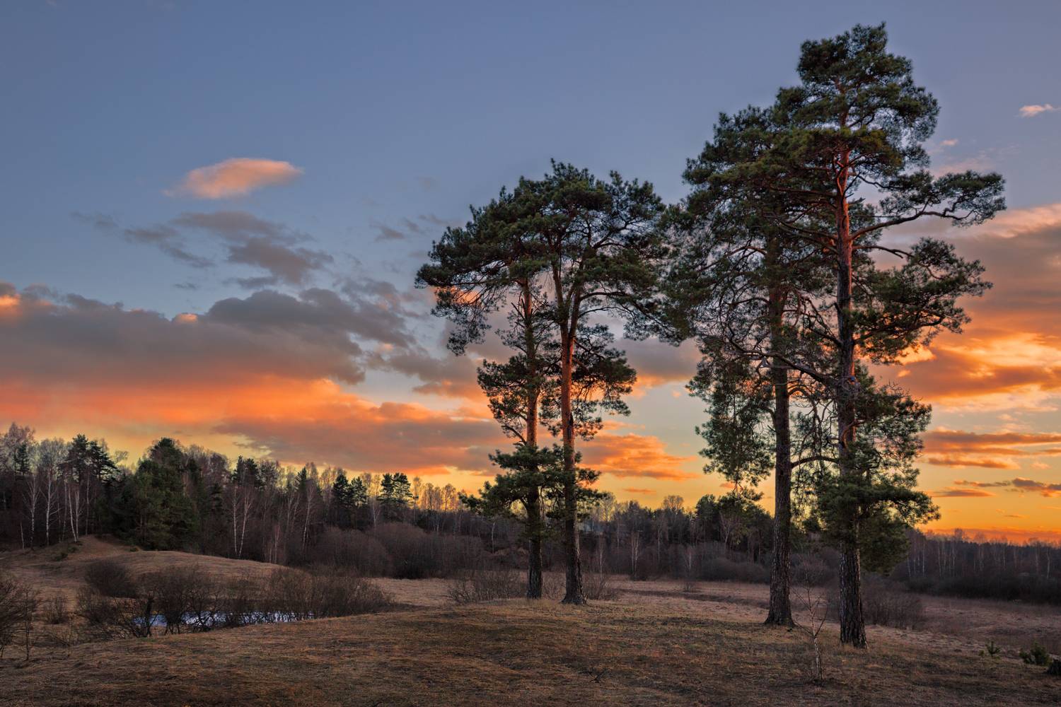 , Евгений Ерохин