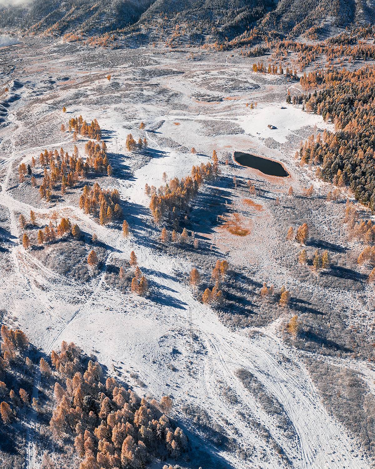 , Александр Артамонов