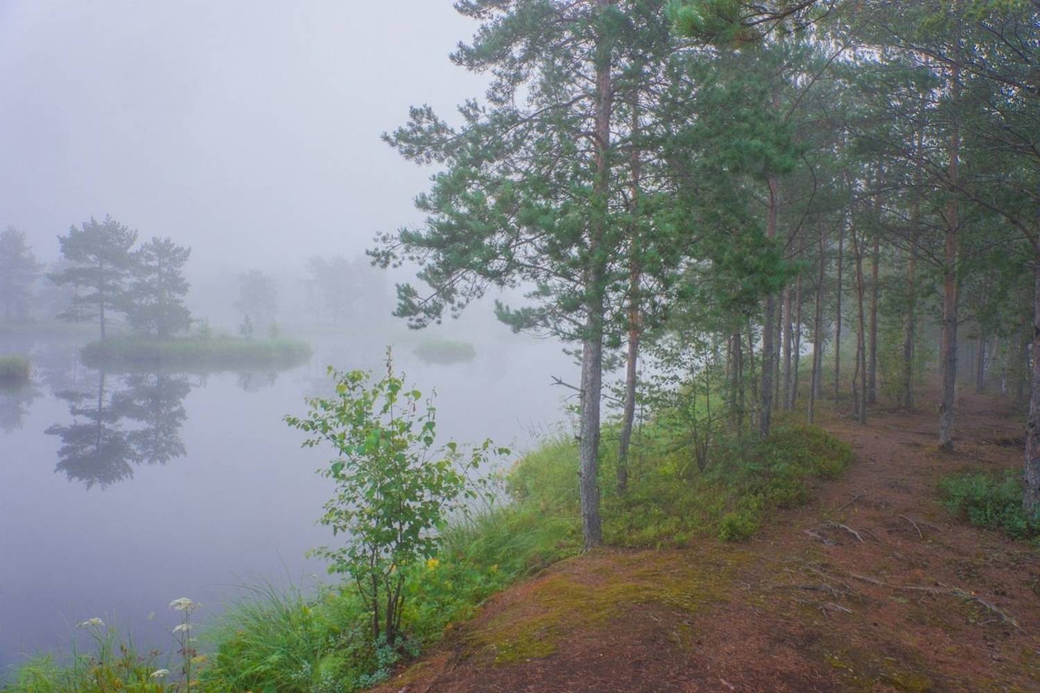 , Петр Косых