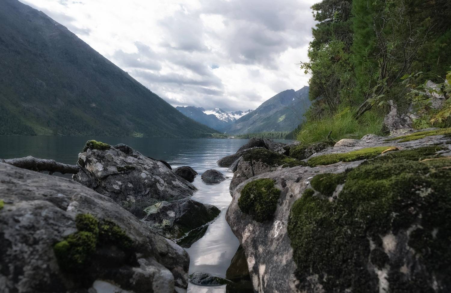 алтай, берег, мультинское озеро, камни, Фомина Марина