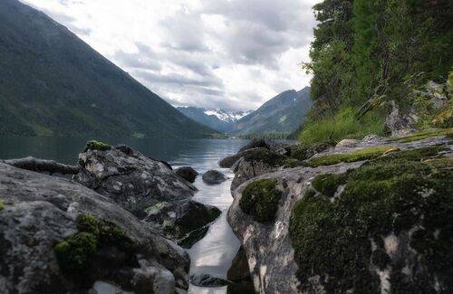 Берег озера