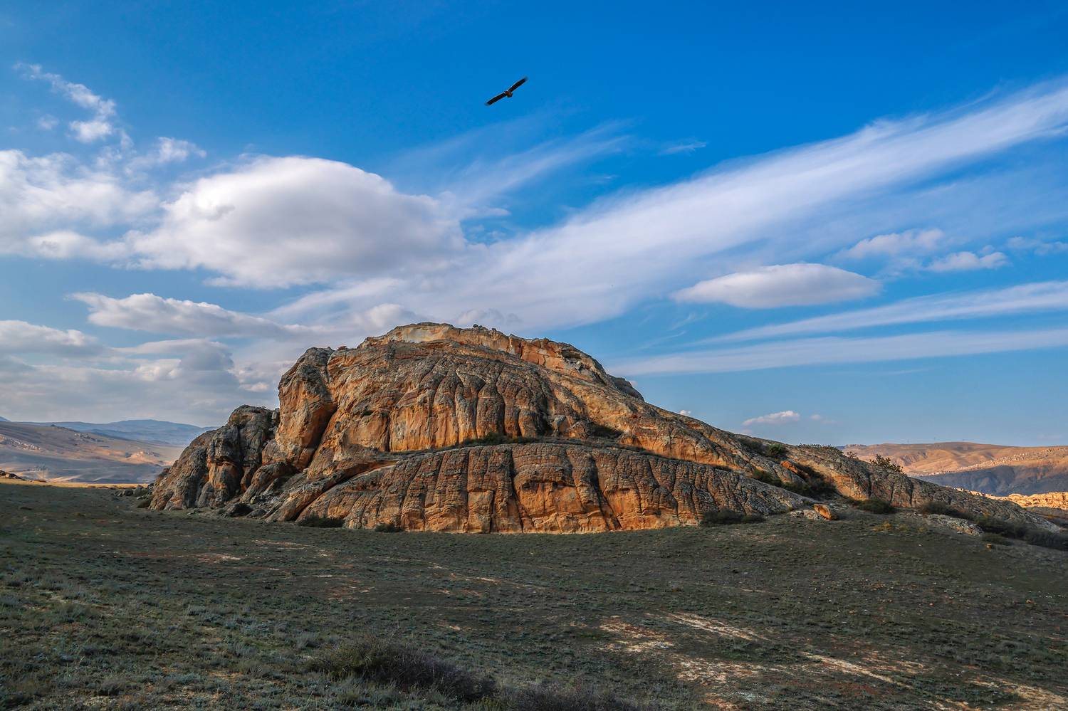 горы,гриф,пейзаж,дагестан,, Magov Marat