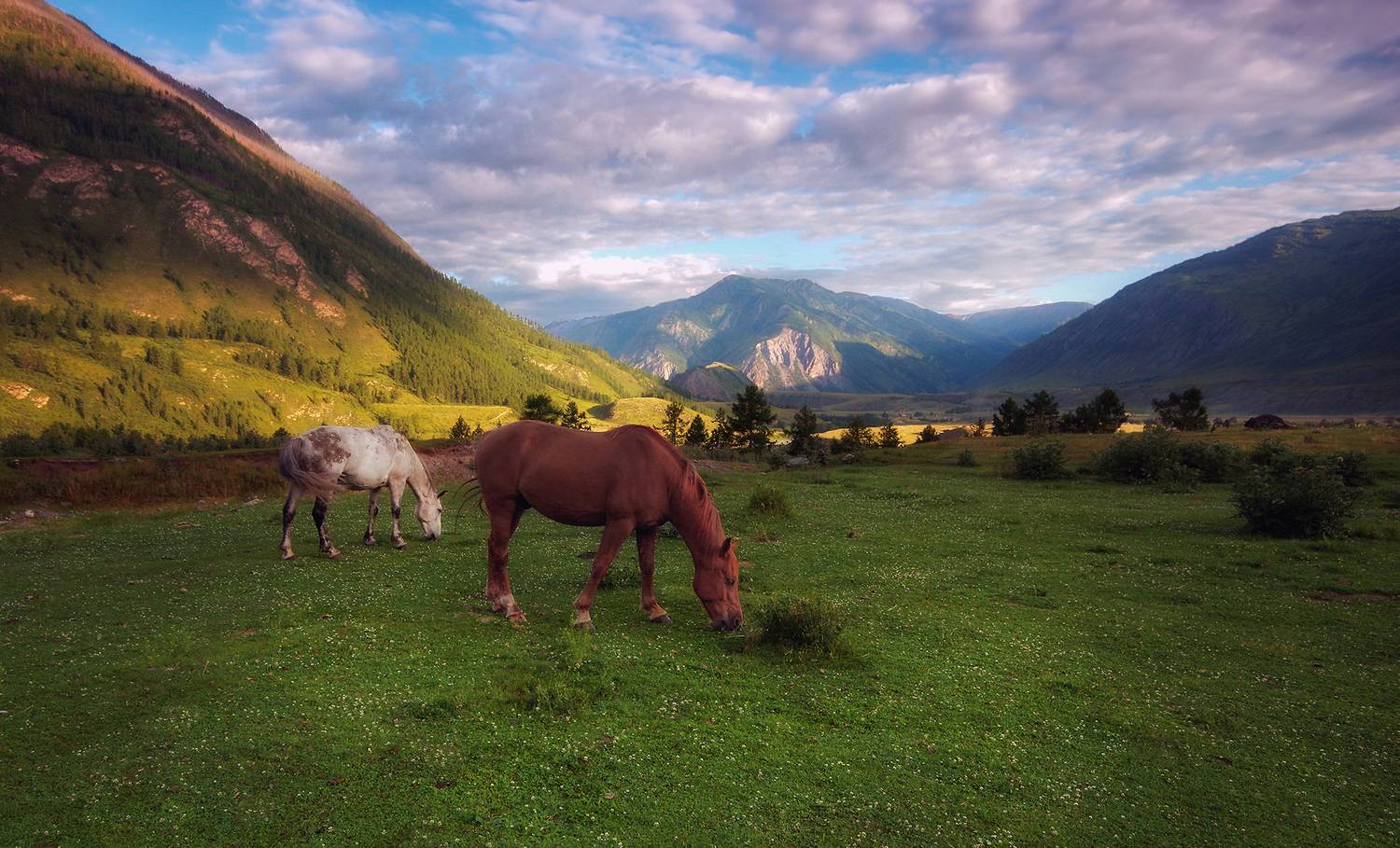 , Чичкин Валерий