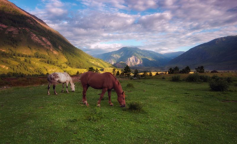 Безмятежность фото превью