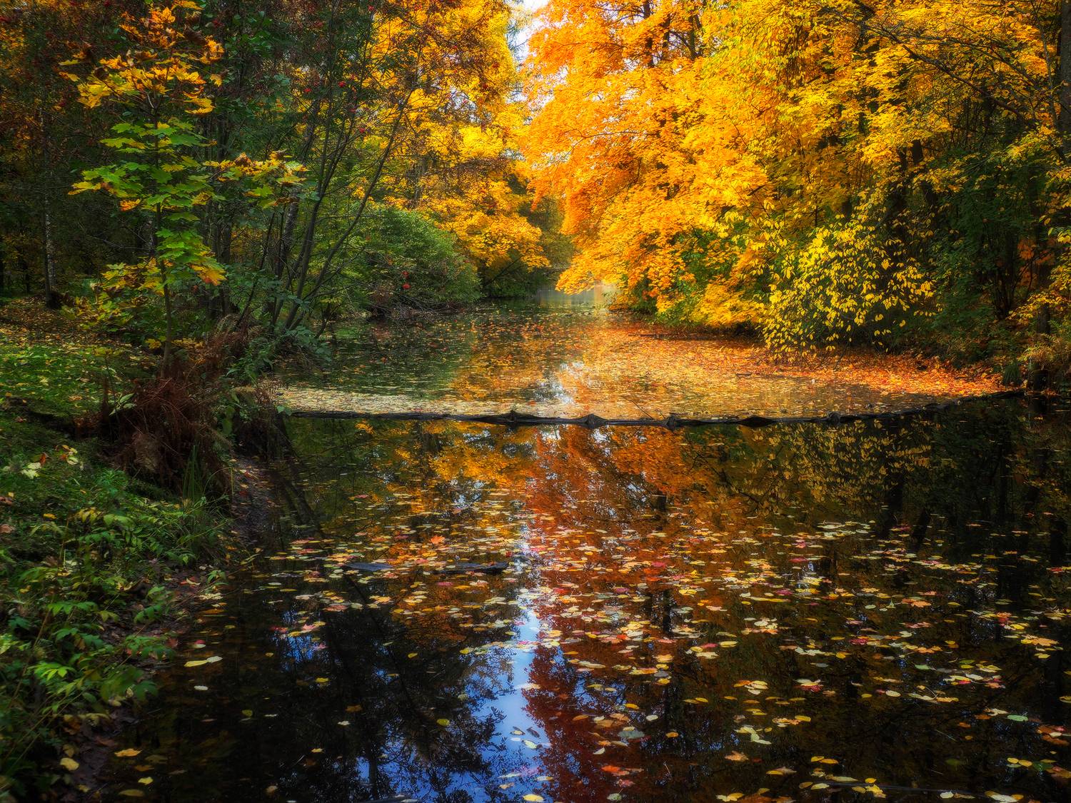 , Галина Хвостенко