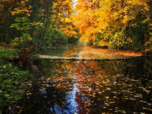 Осенние краски