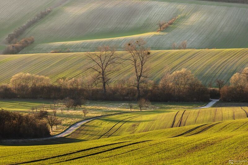 The Road among Hills фото превью