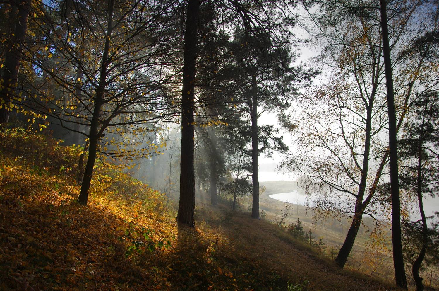 , Шляга Сергей