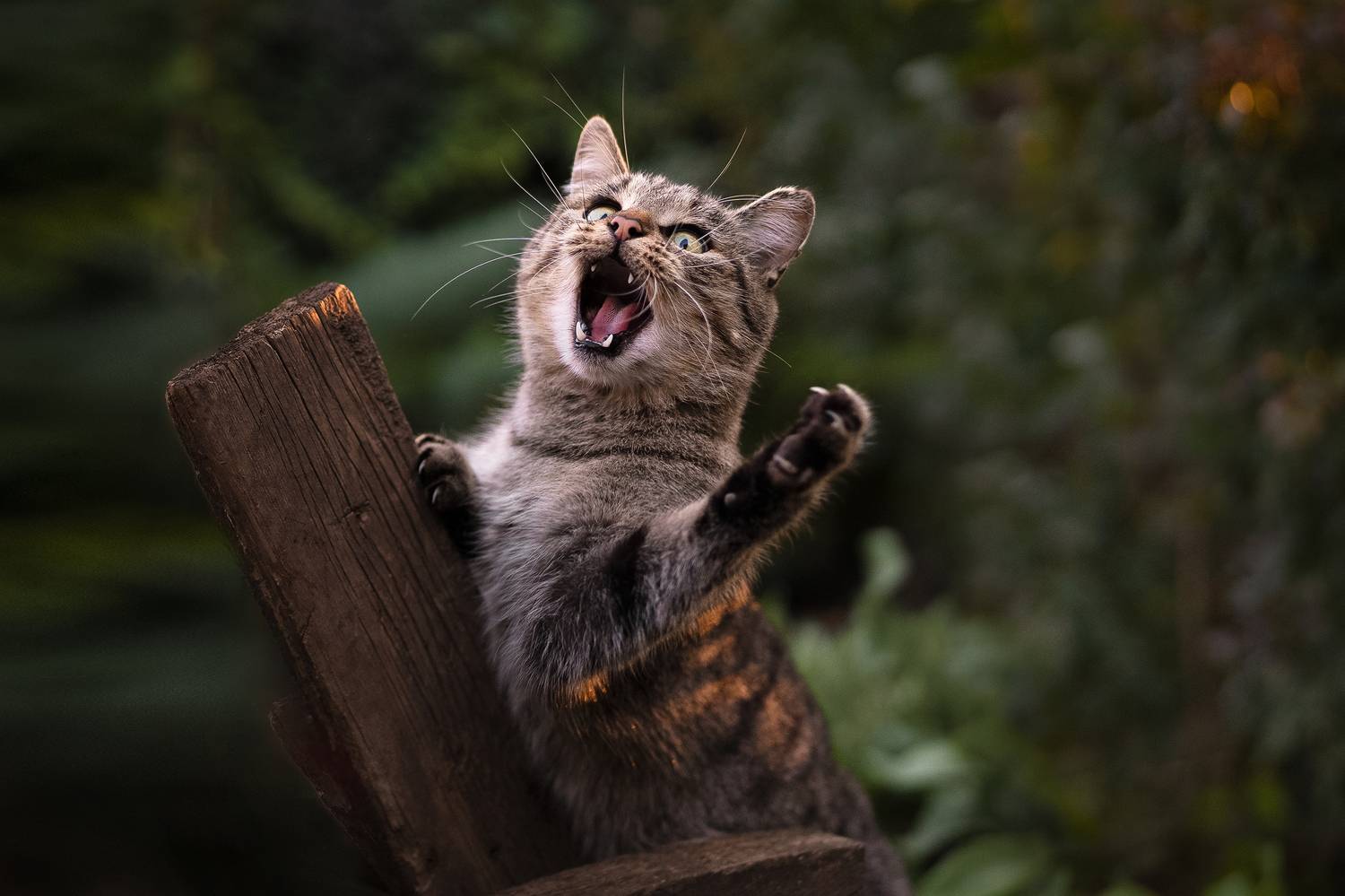 , Коротун Юрий