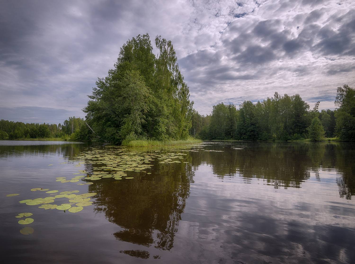 , Сергей Аникин