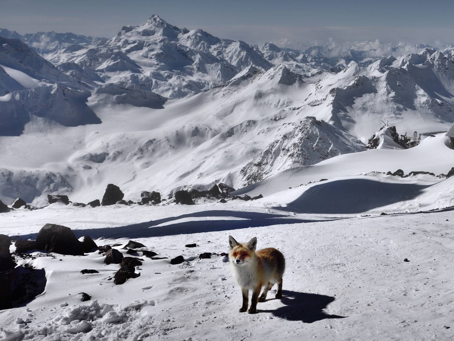 , Алексей Никонов
