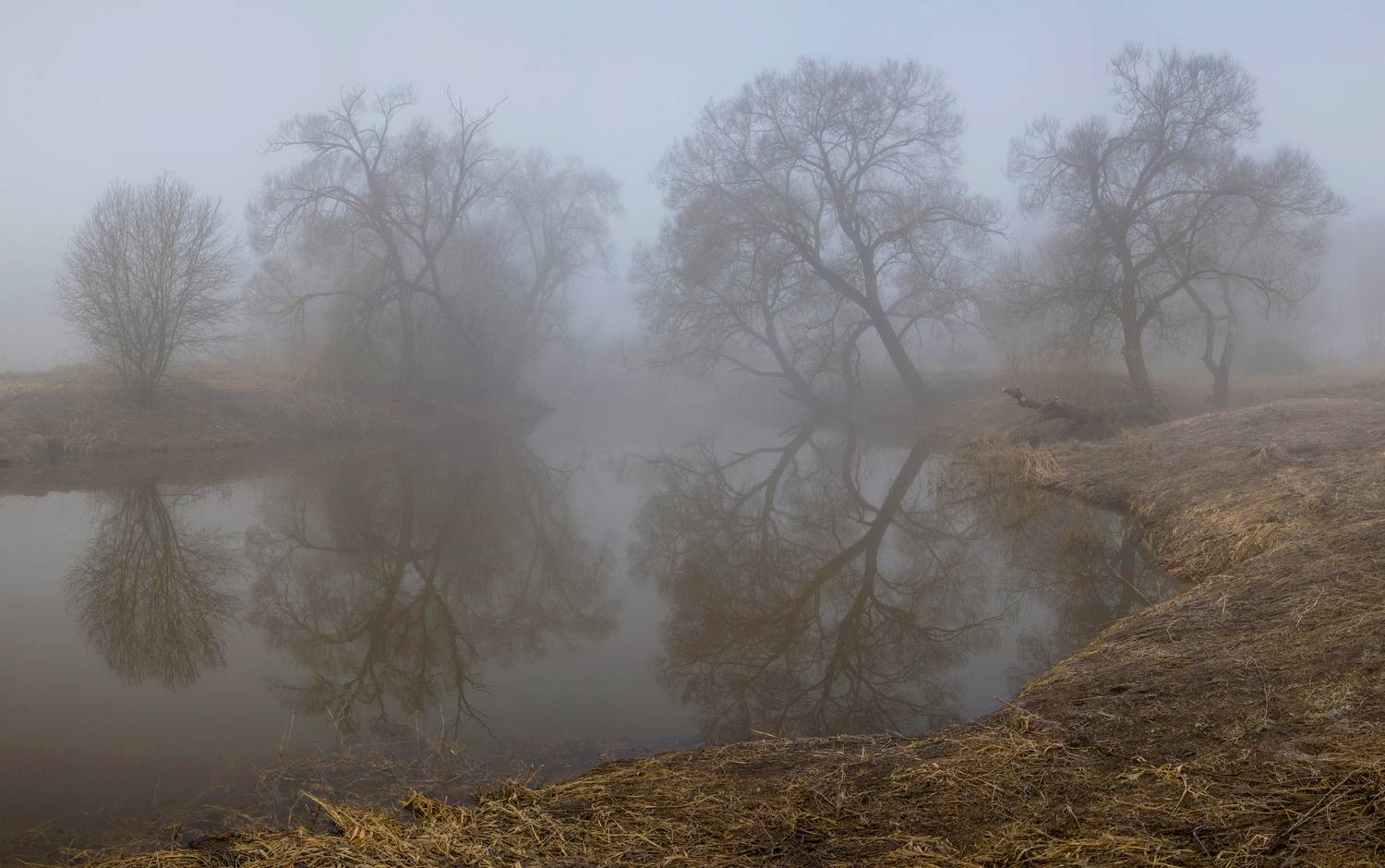 туман, река, весна, Свистков Александр