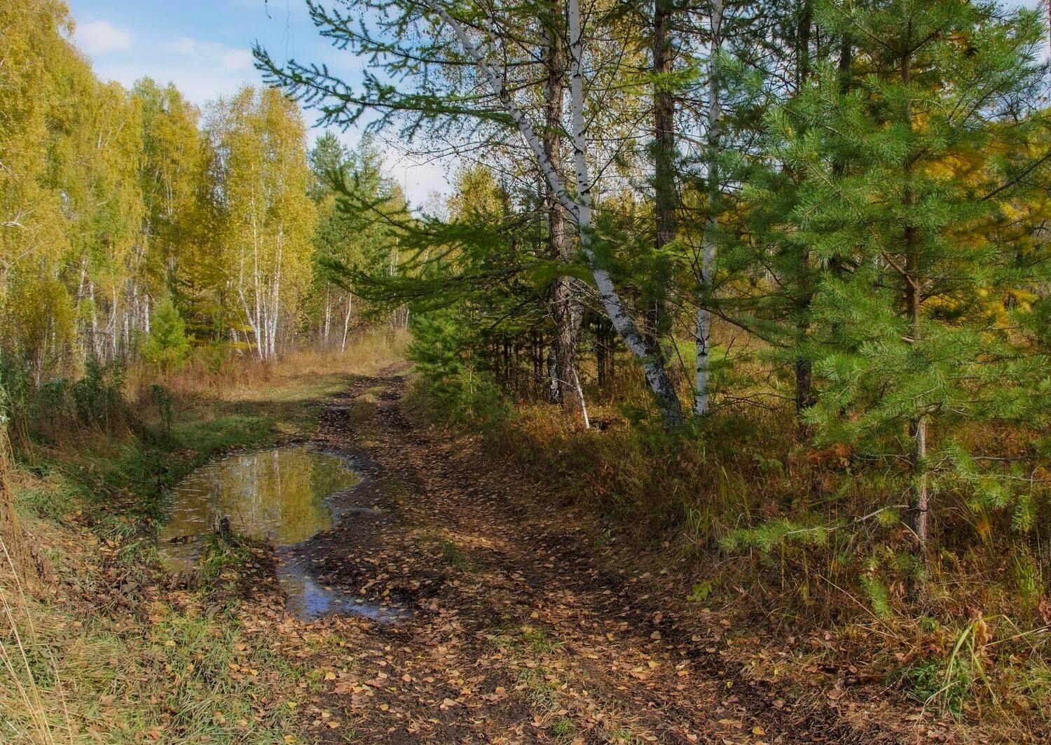 , Шустиков Дмитрий