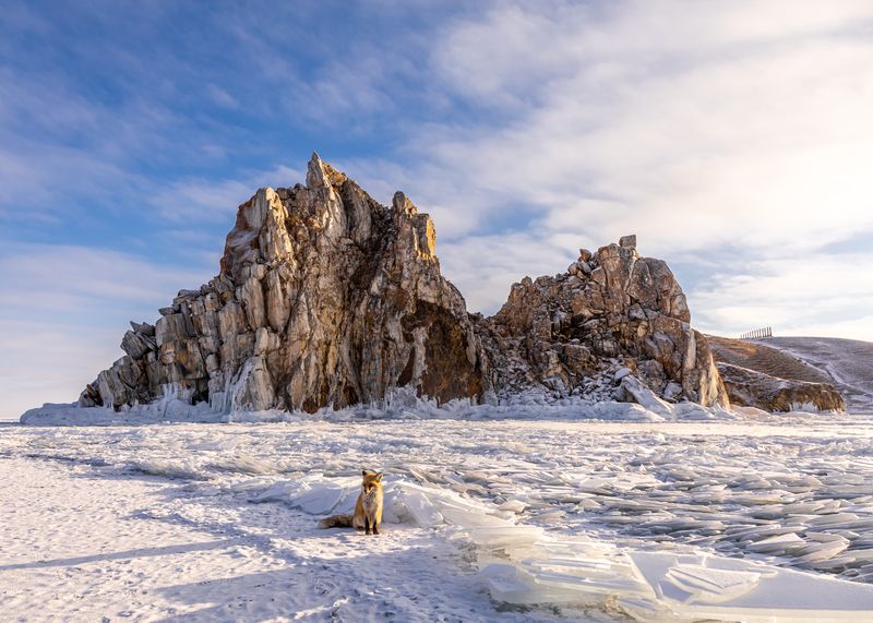 шаманка, байкал, лёд Утро Лиса фото превью