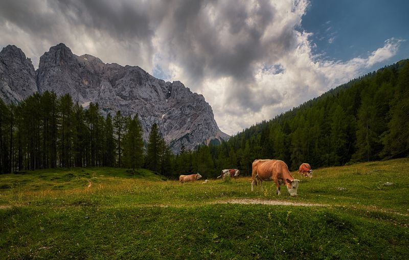 Milky way фото превью