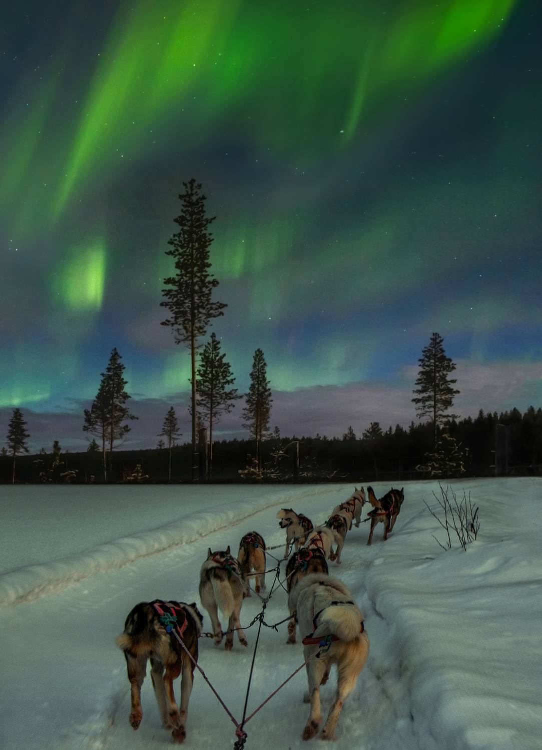 , Вадим Городницкий