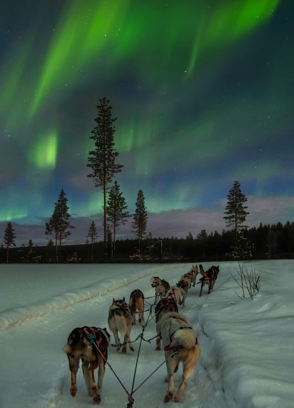 Lapland фото превью