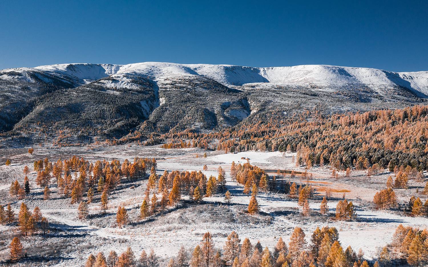 , Александр Артамонов