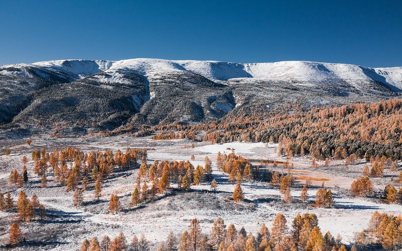 Dawn near the Ulagan pass фото превью