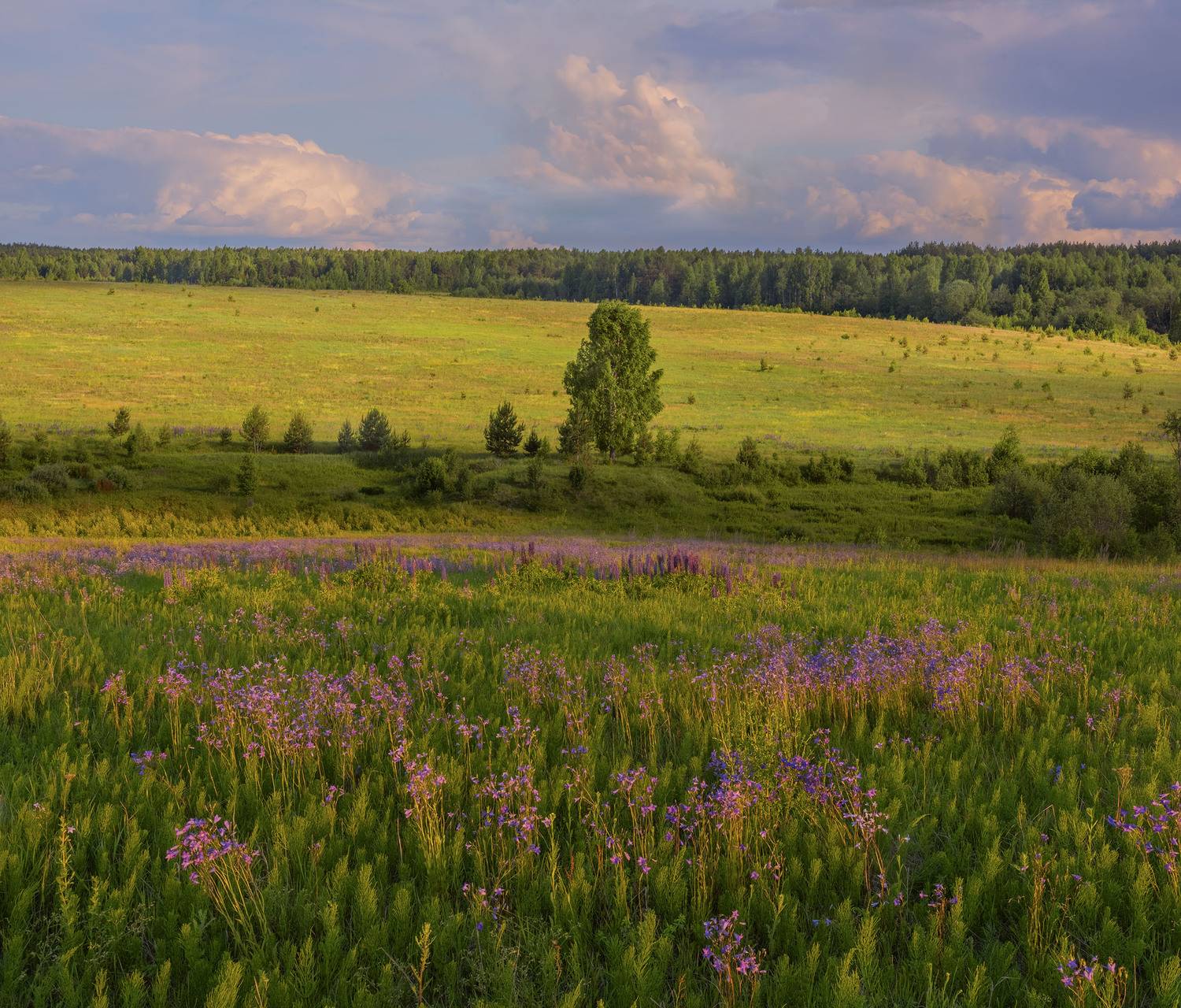 Фототуры с Владимиром Рябковым, #topnature #russpasibo #magic_shots #lovelyRussia #sunset_vision #exclusive_sky  #exclusive_shots #loves_russia2 #photoarena_nature #nature_sultans #nature_perfection #rsa_sky #rsa_sunset #photorussia #rsa_naturepics #sunse, Владимир Рябков