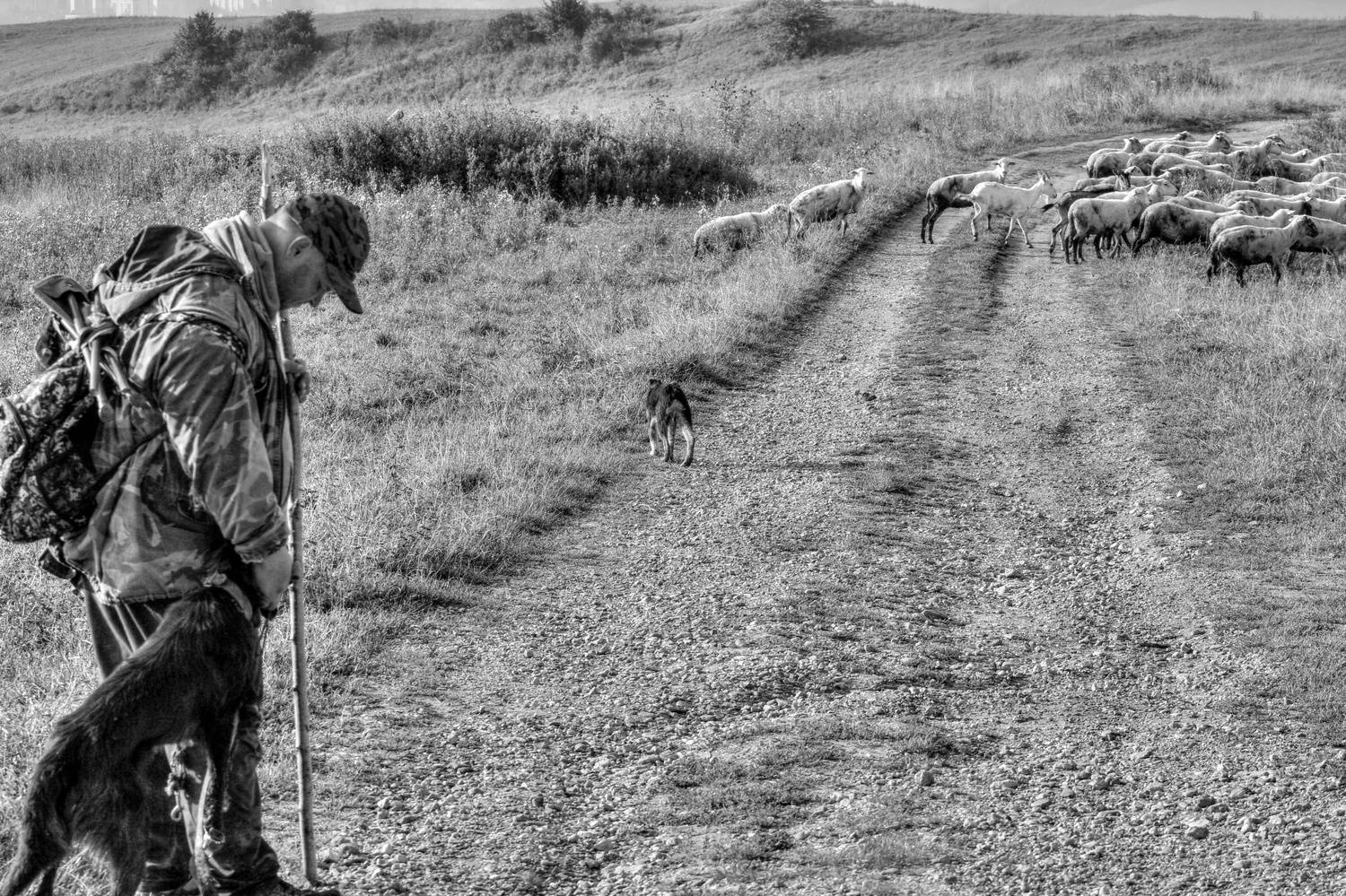 , Magdalena Kolenicova