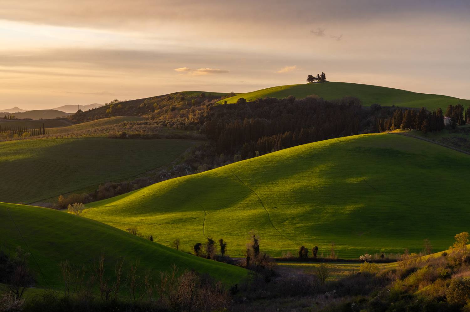 , Алекс Римский