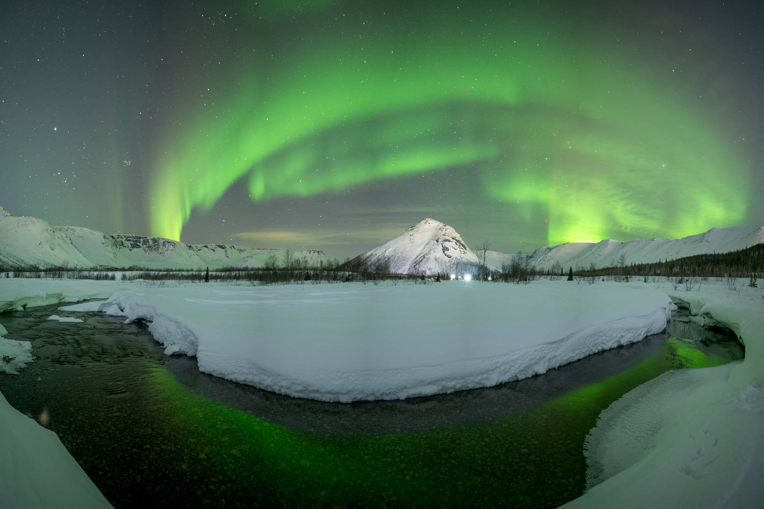 , Ян Сурогин