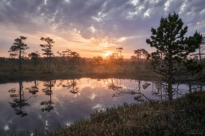 Акварель рассветных болот фото превью