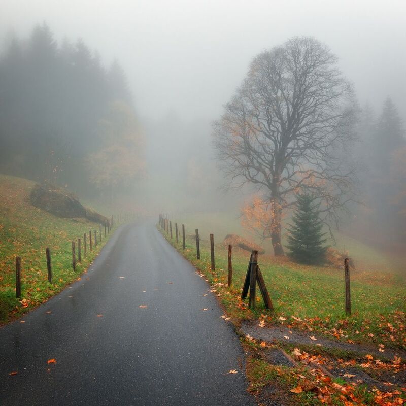 #switzerland #kandersteg Road to the Fog фото превью