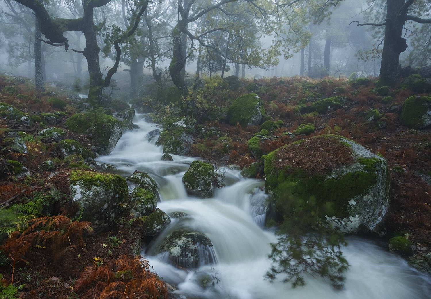 photo, photography, picture, land, landscape, nature, autumn, river, color, mood , colorful, green, river, flow, flowing, forest, mountains, jimenez millan samuel