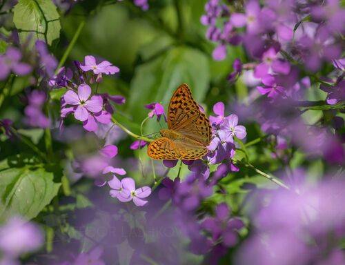 Майские впечатления