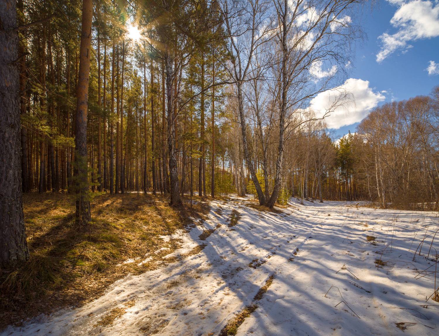 , Шустиков Дмитрий