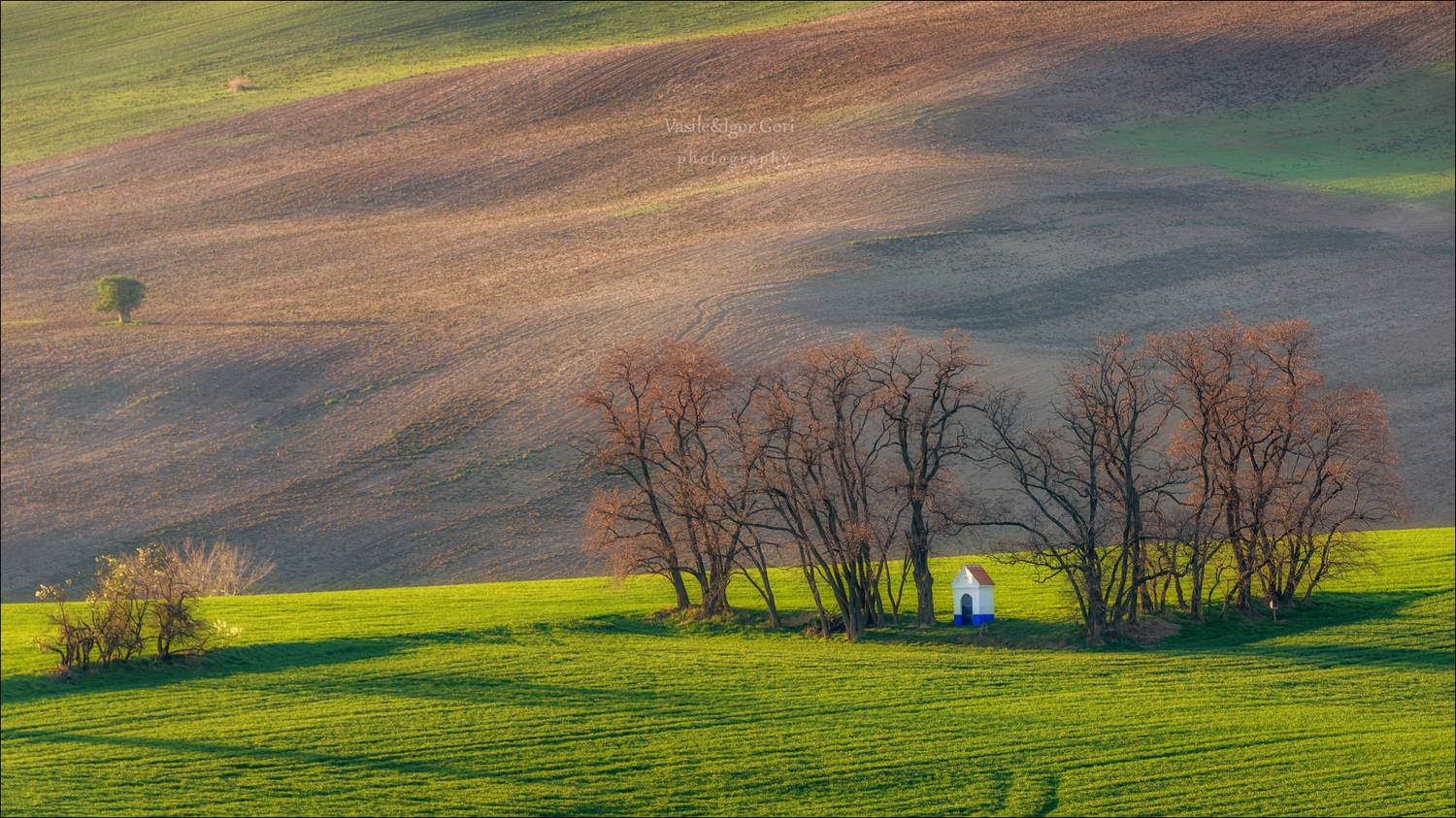 южная моравия,rural,пейзаж,hils,часовенка св.варварa,линии,chapel,south moravian,lines,свет,czech,весна,чехия,landscapes., Гори Василий