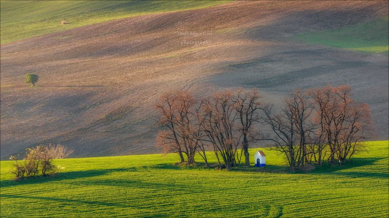 южная моравия,rural,пейзаж,hils,часовенка св.варварa,линии,chapel,south moravian,lines,свет,czech,весна,чехия,landscapes. Зарождение весны фото превью