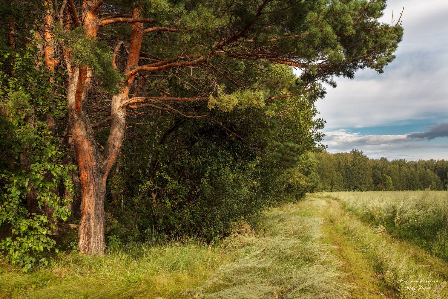 , Никитин Алексей