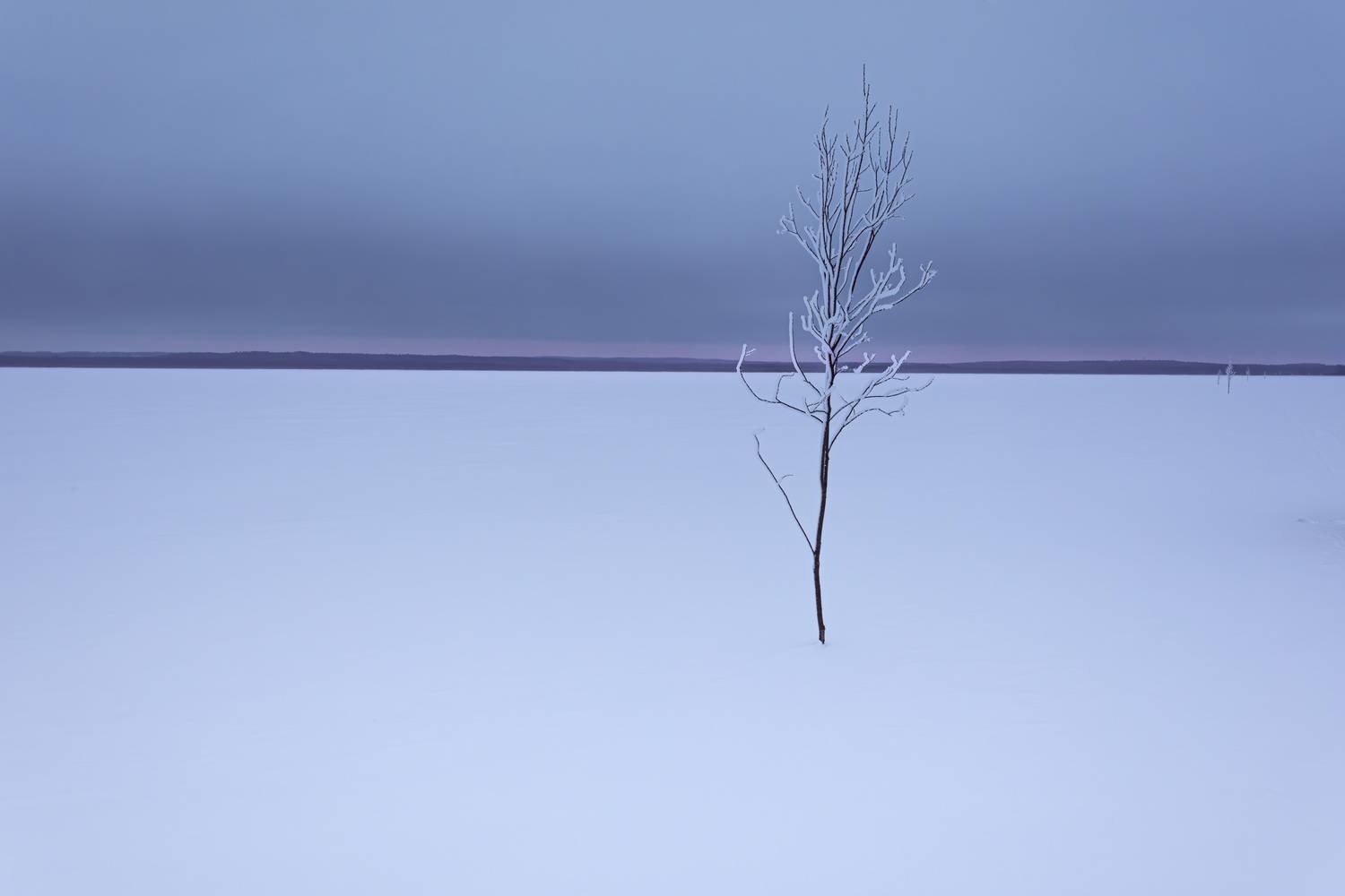 , Лаврентьев Александр